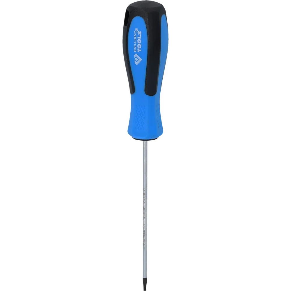 BRILLIANT TOOLS Schraubendreher TORX T8 x 100 mm - BT031039