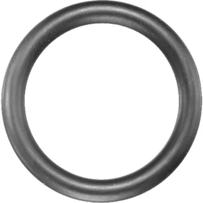 ASW - Kraft-Gummiring 3/8" für ø19mm