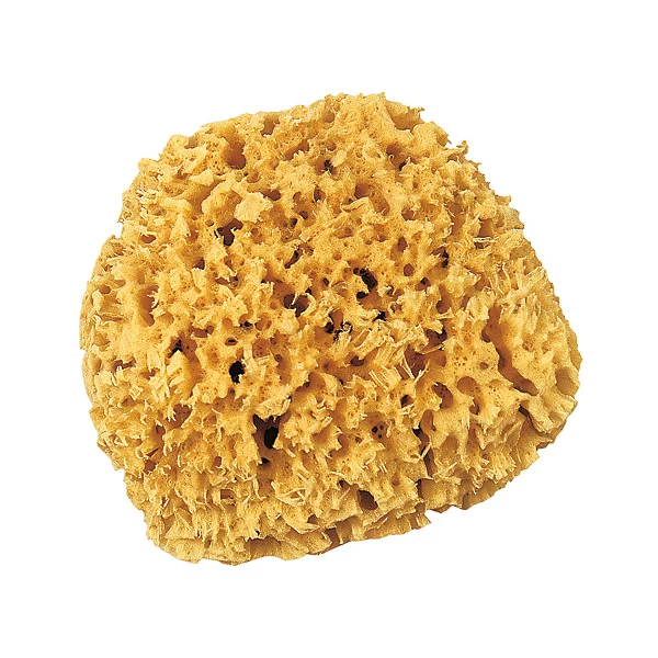 Brillux Naturschwamm 13 cm