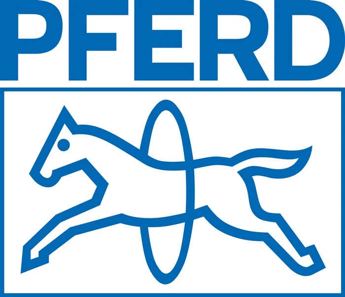 PFERD Schlüsselfeilen-Set 265 100 H2 ( 8000435116 ) Länge 100 mm