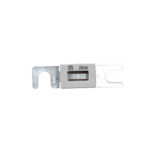 Sicherung ANL, 250 Ampere