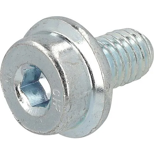 Sperrzahnschraube M6x10