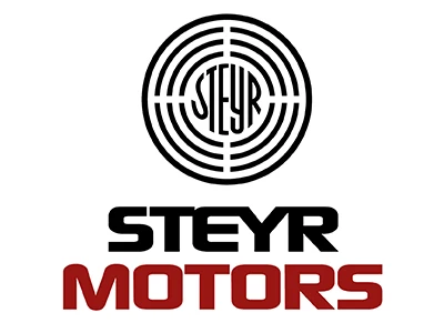 Steyr SK.MUTTER M.FLANSCH,KLEMMT. DIN 6927-M10-8-